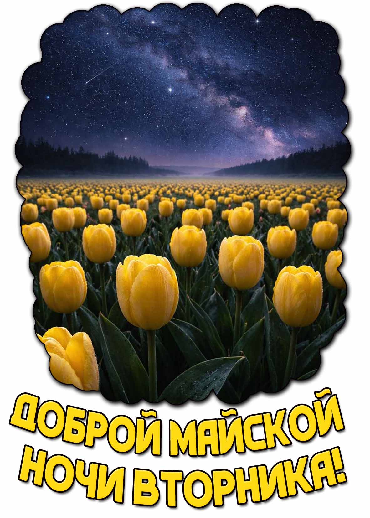 Картинка доброй майской ночи вторника
