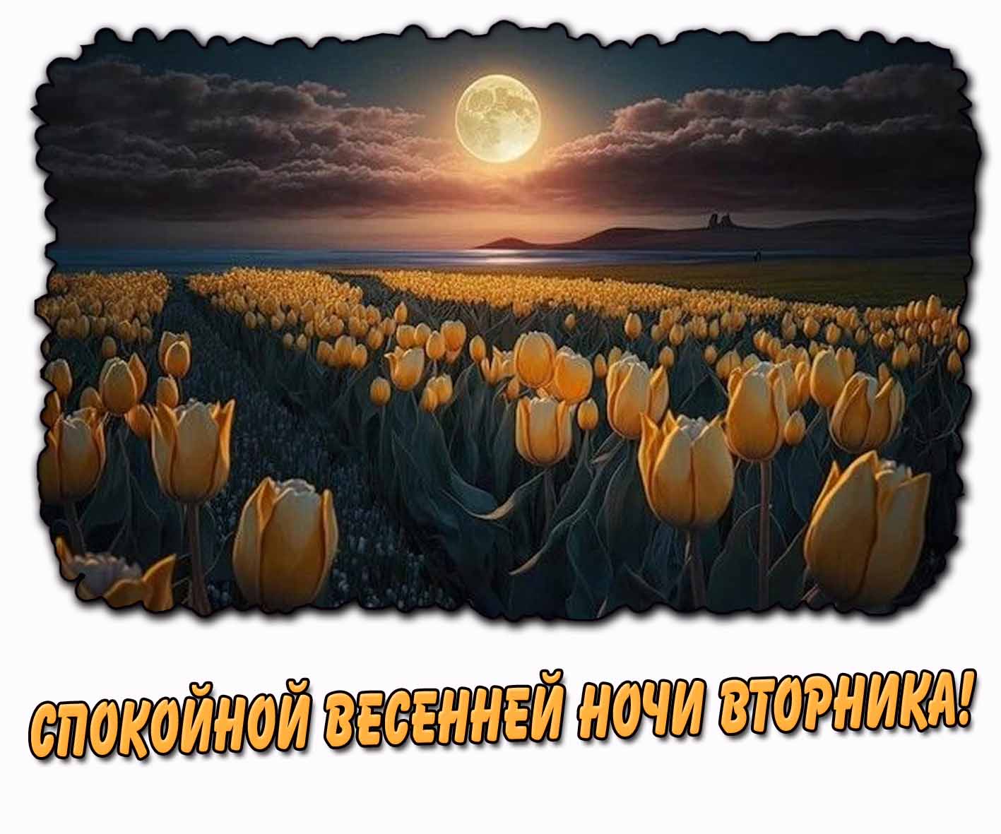 Спокойной весенней ночи вторника! - картинка с тюльпанами