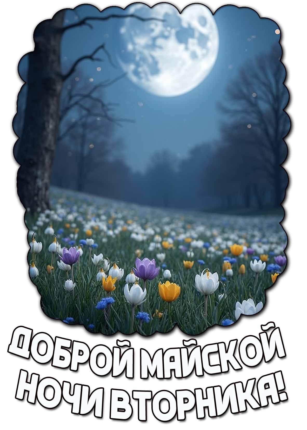 Открытка доброй майской ночи вторника