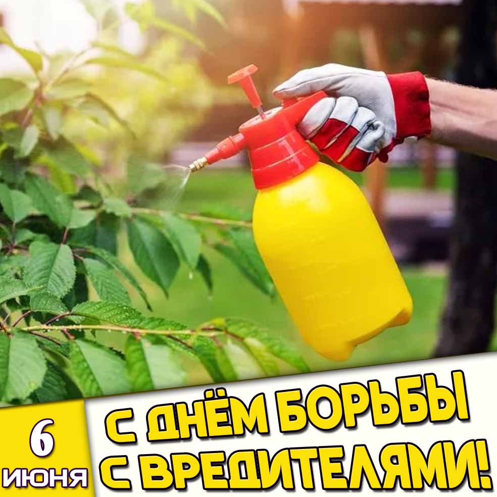 Картинка 6 июня - с днём борьбы с вредителями!