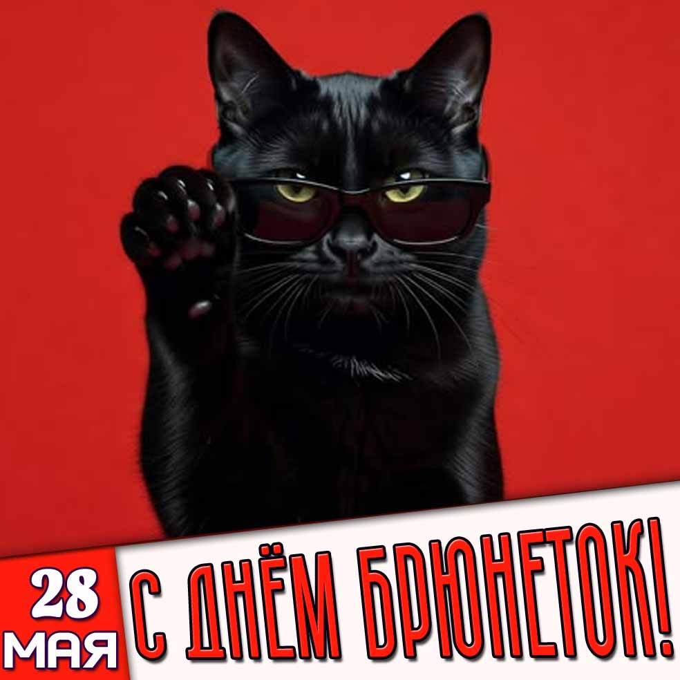 Открытка 28 мая - с днём брюнеток!