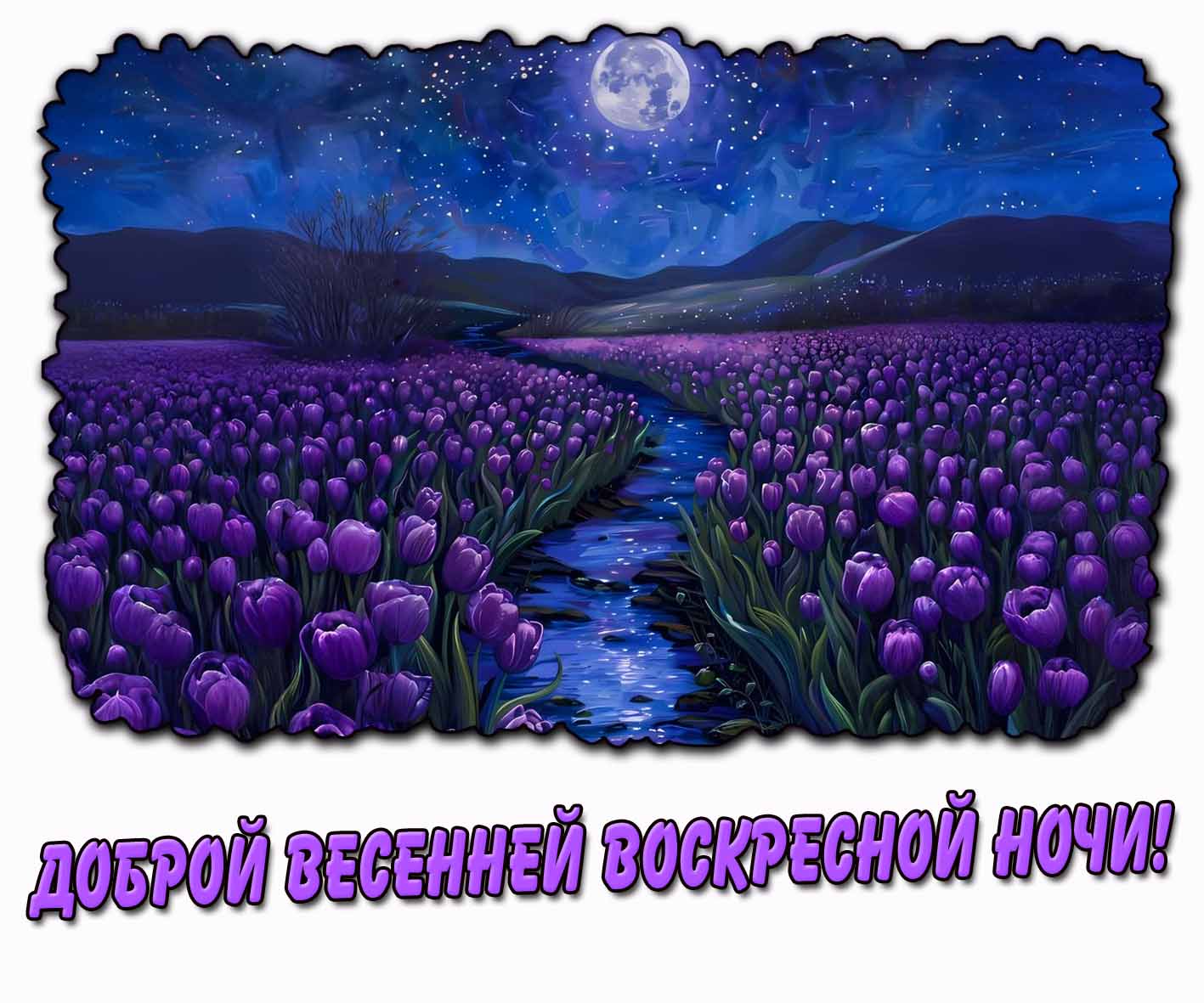Открытка доброй весенней воскресной ночи