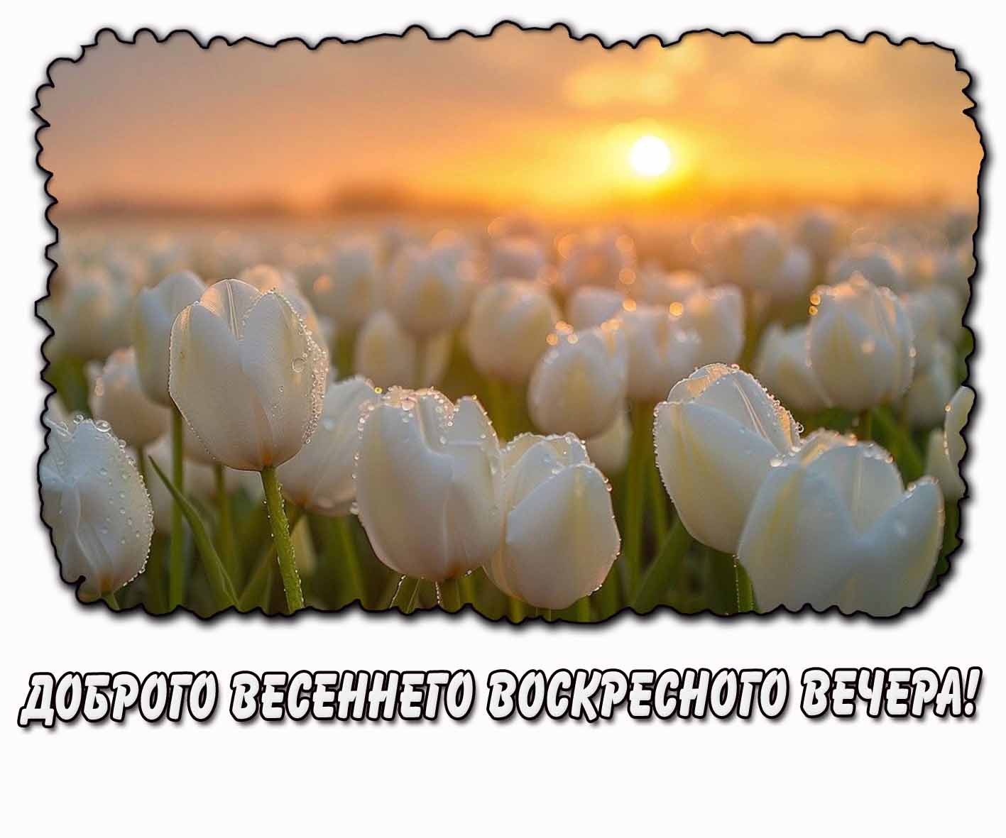 Доброго весеннего воскресного вечера! - картинка с цветами