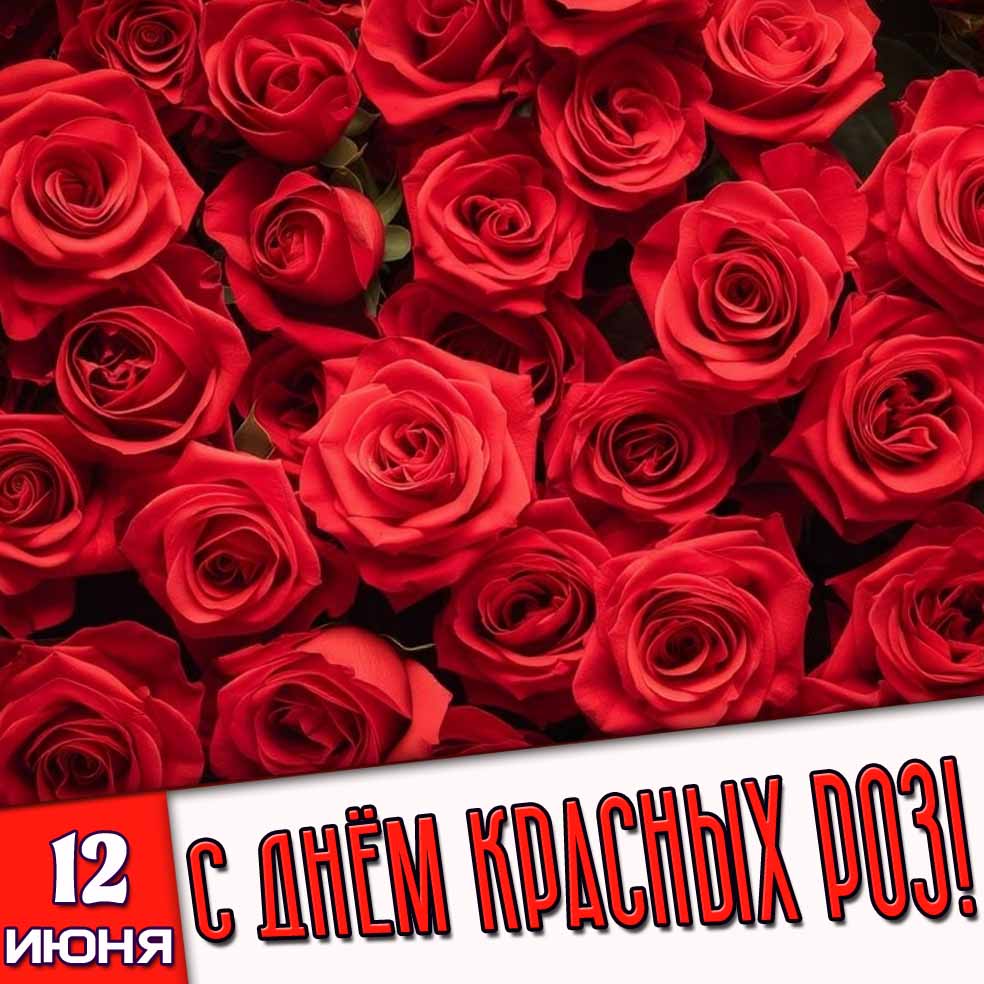 Открытка 12 июня - с днём красных роз!