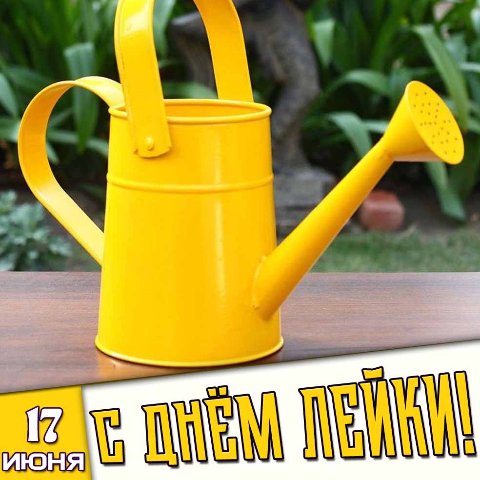 Открытка 17 июня - с днём лейки!