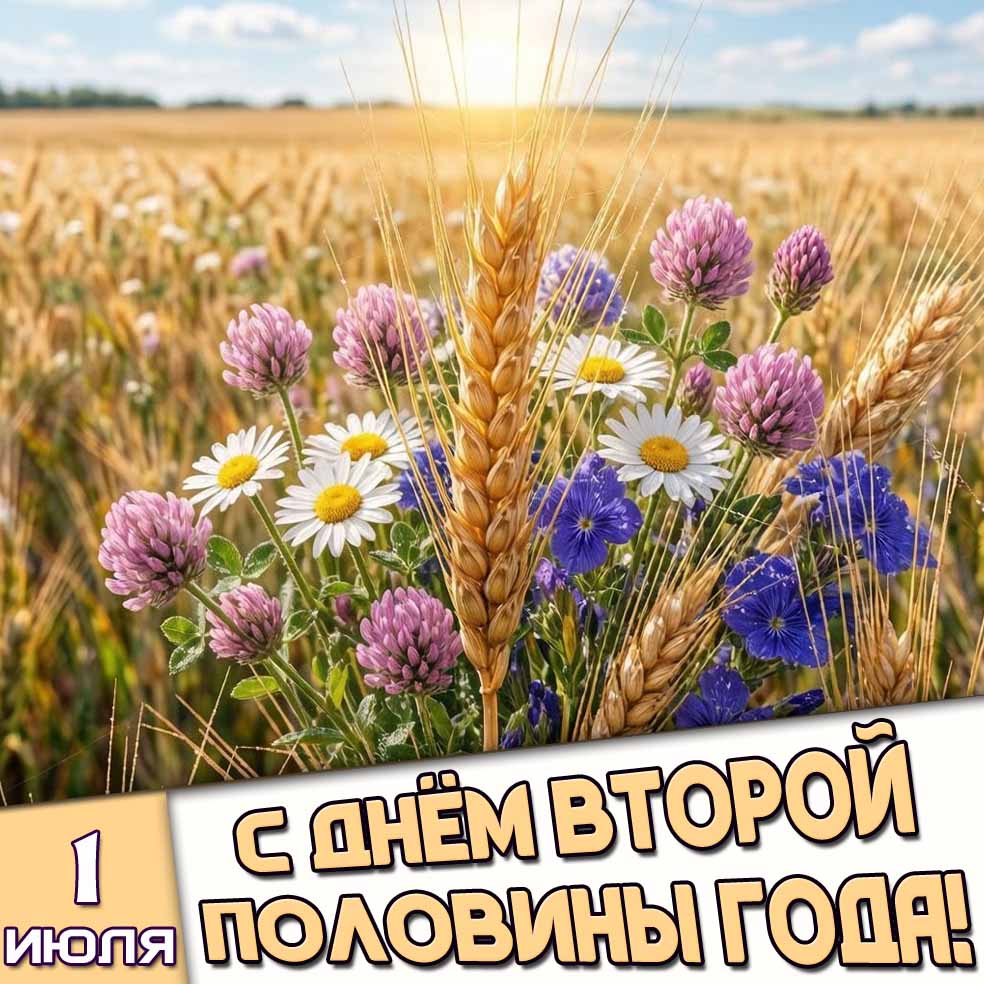 Открытка 1 июля - с днём второй половины года!