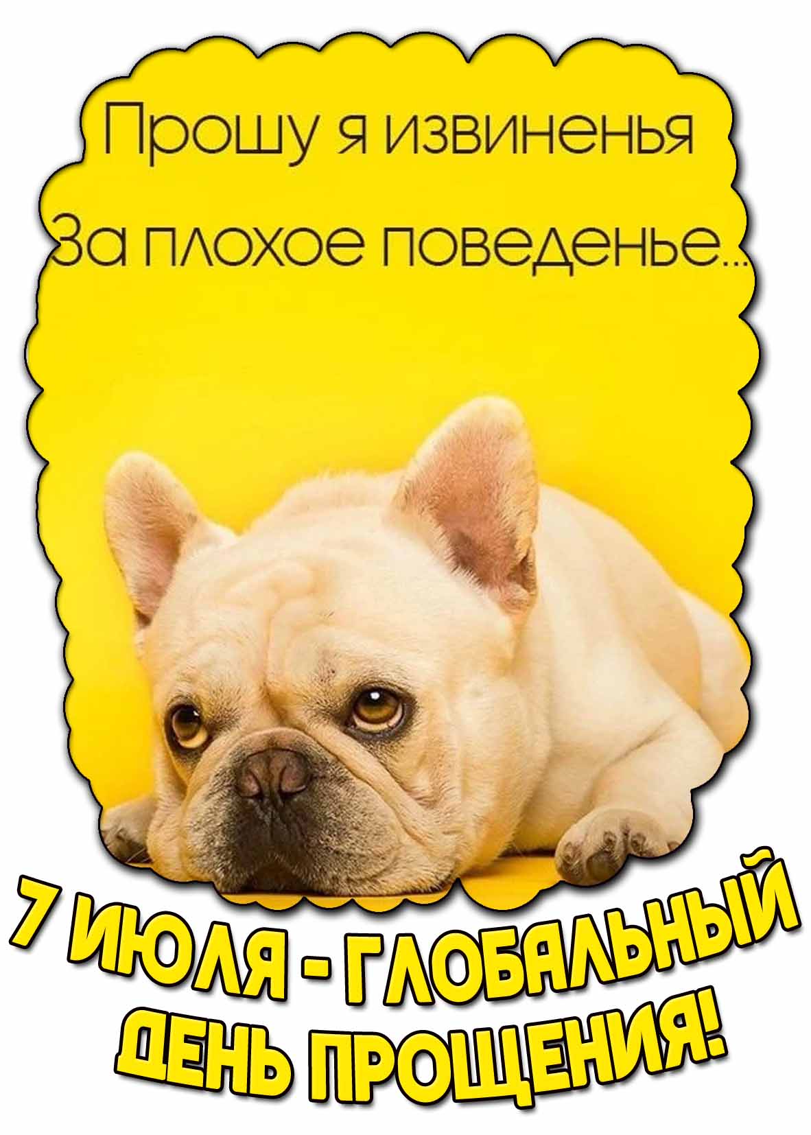 Прикольная картинка "7 июля - Глобальный день прощения! Прошу я извиненья, за плохое поведенье..."