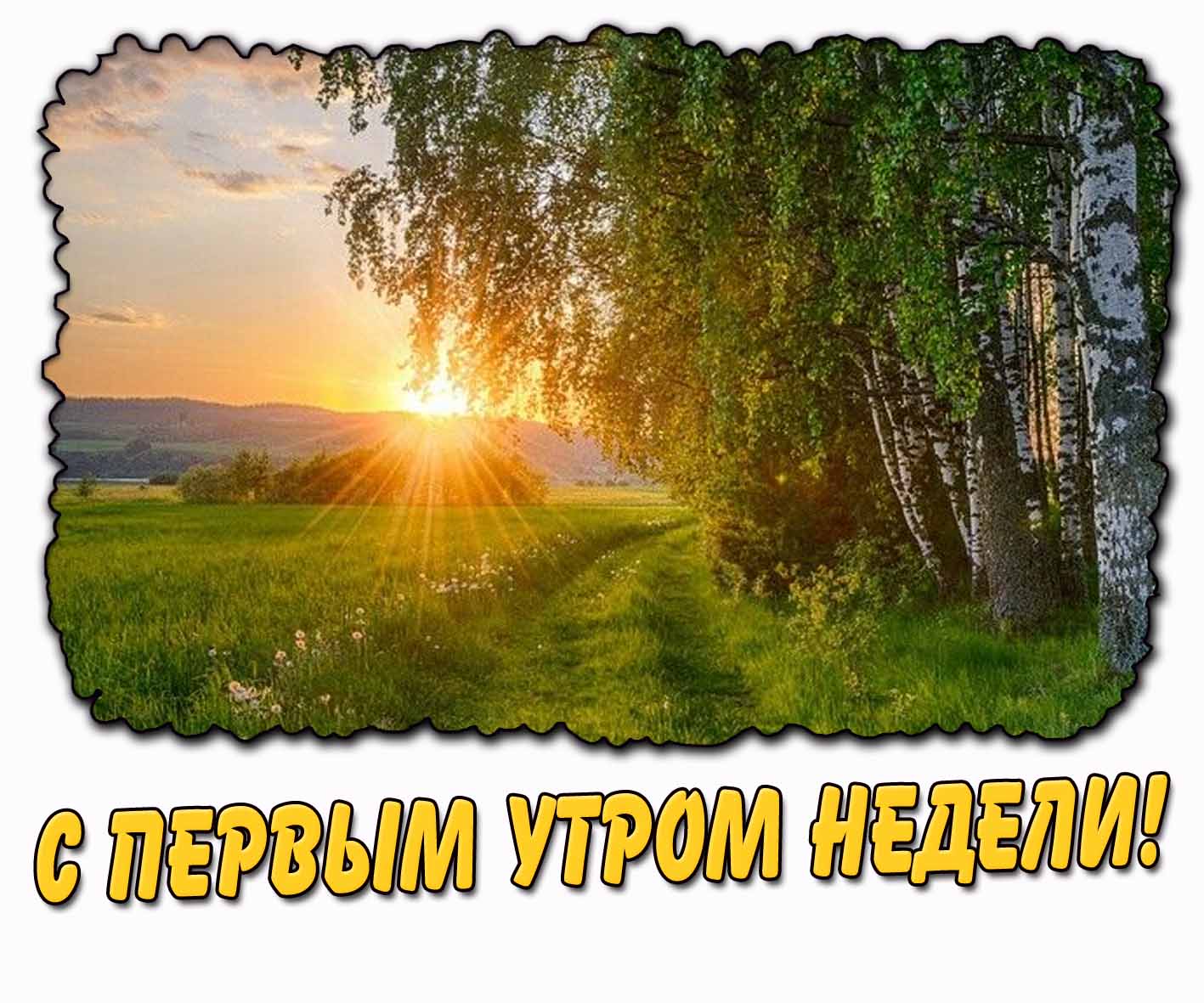 Летняя открытка "С первым утром недели!"