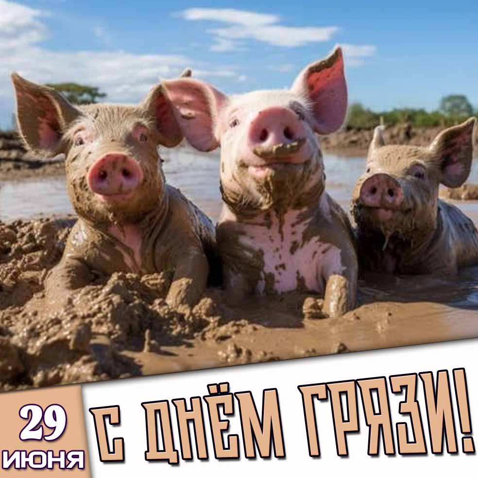 Смешная картинка 29 июня - с днём грязи!