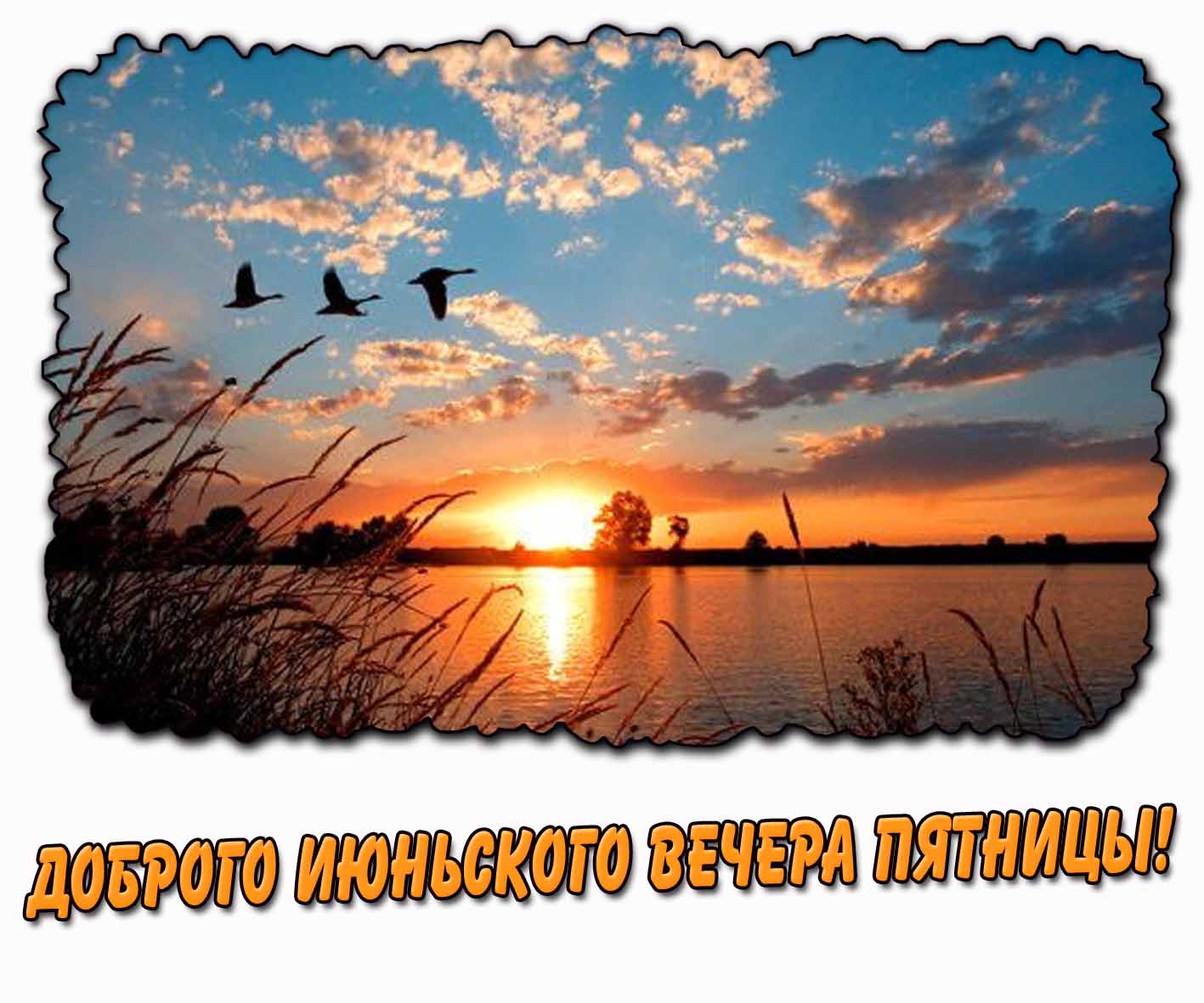 Открытка доброго июньского вечера пятницы