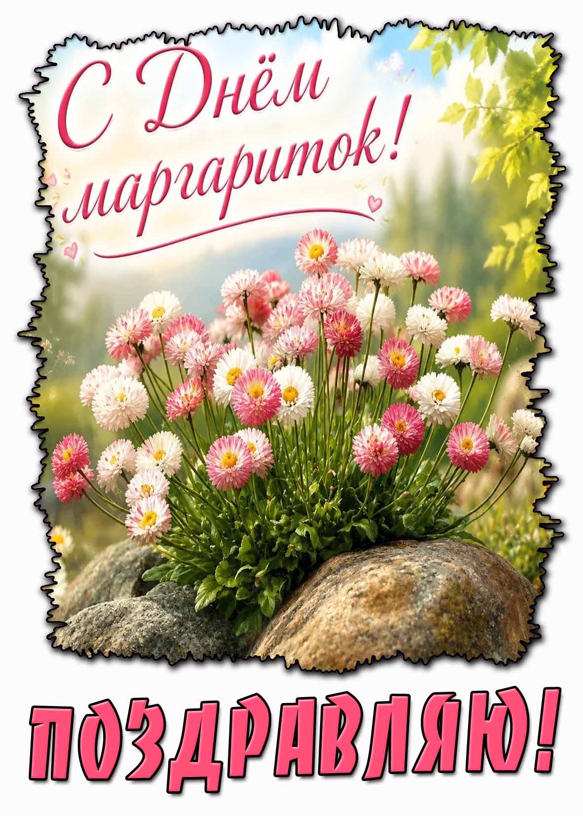 Открытка "С днём маргариток! Поздравляю!"
