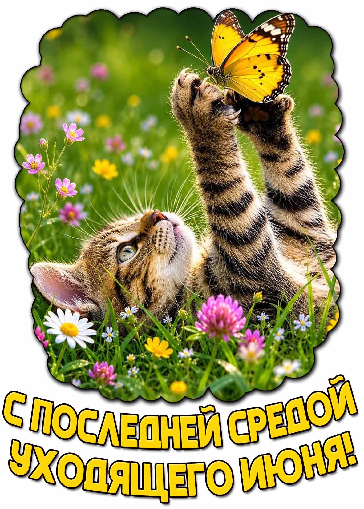 Картинка с последней средой уходящего июня