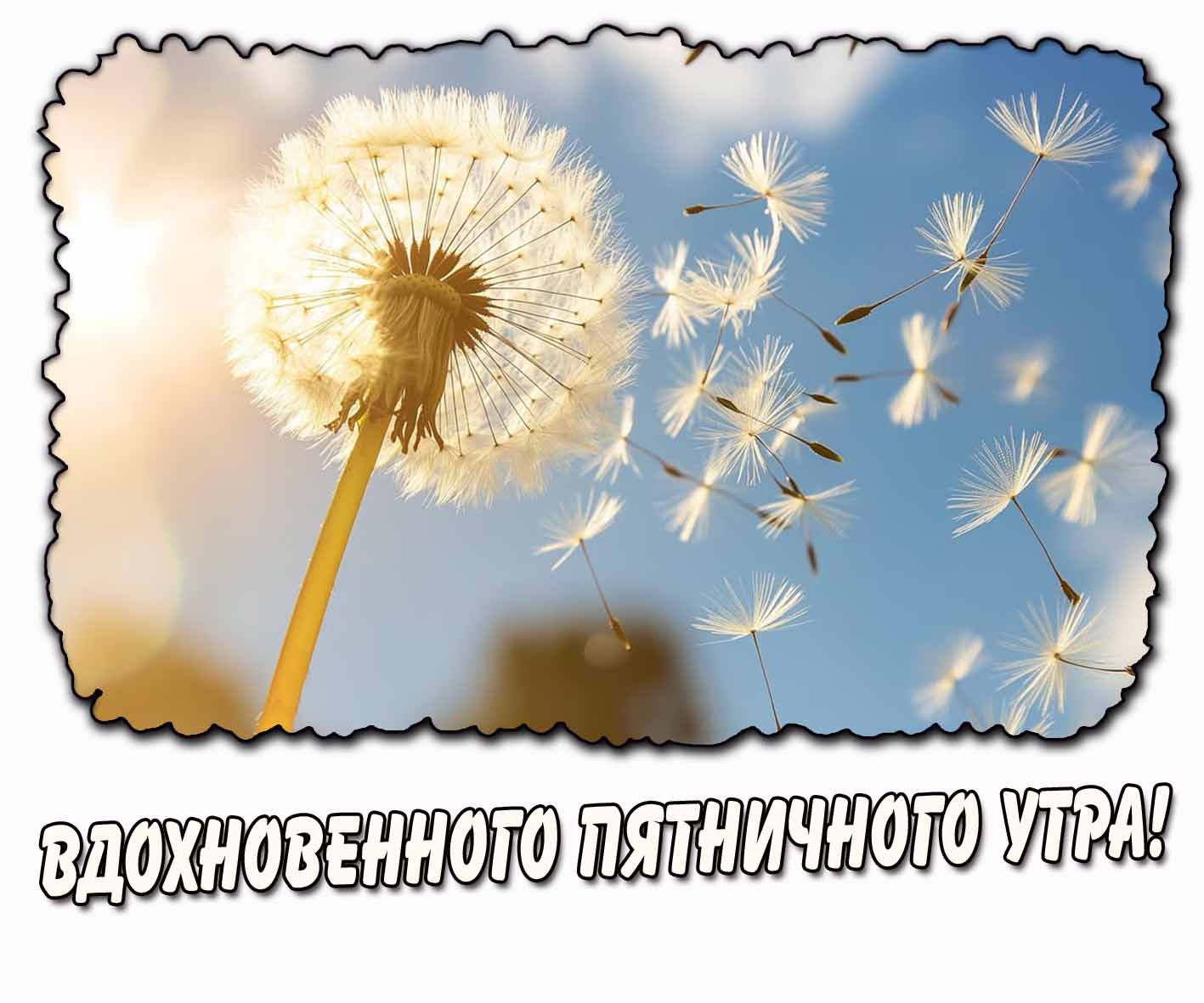 Открытка вдохновенного пятничного утра
