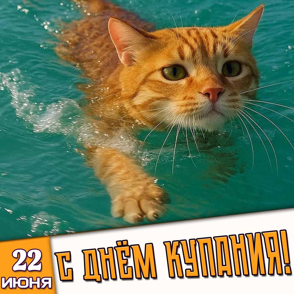 Прикольная открытка 22 июня - с днём купания!