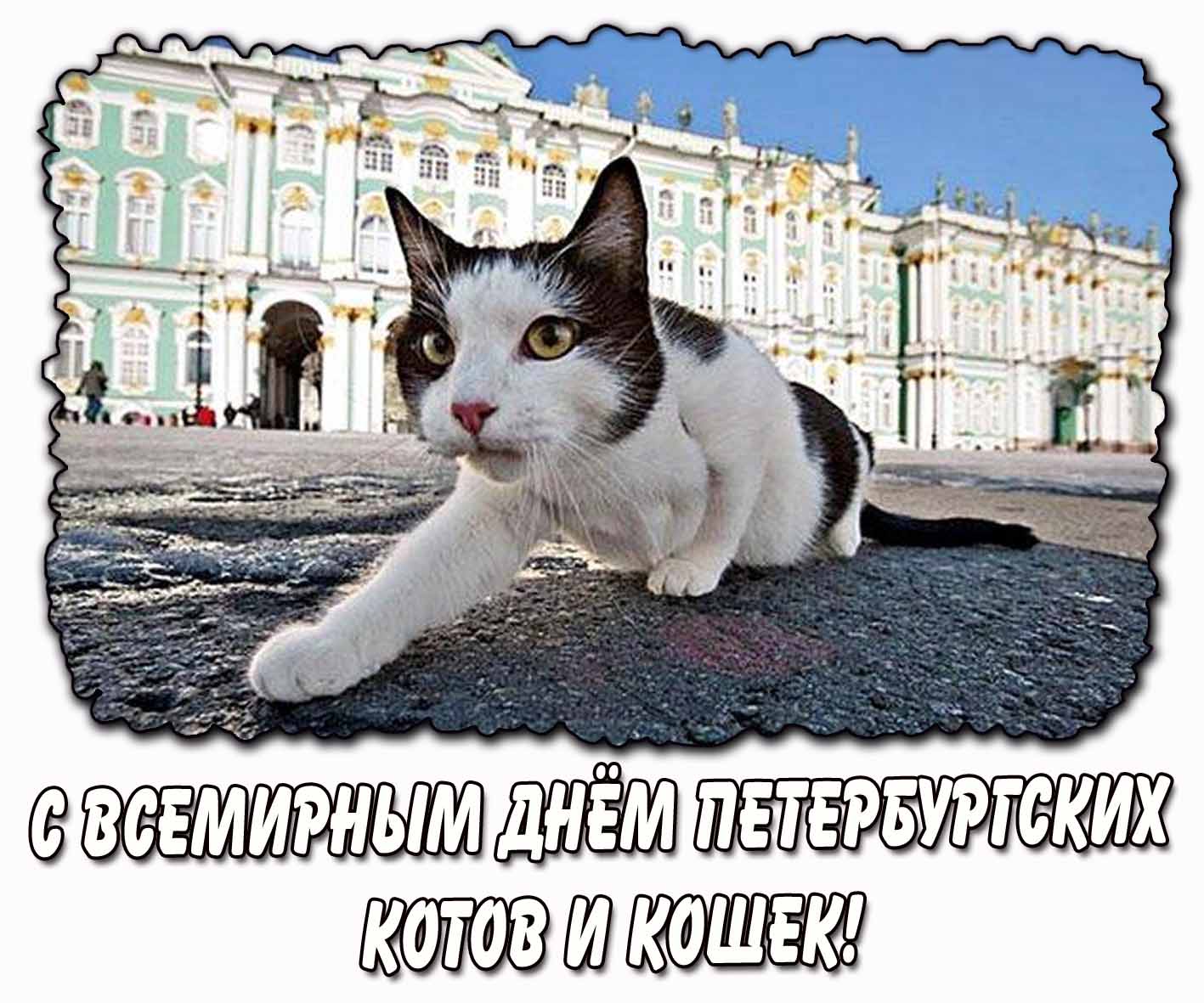 Картинка с Всемирным днём петербургских котов и кошек