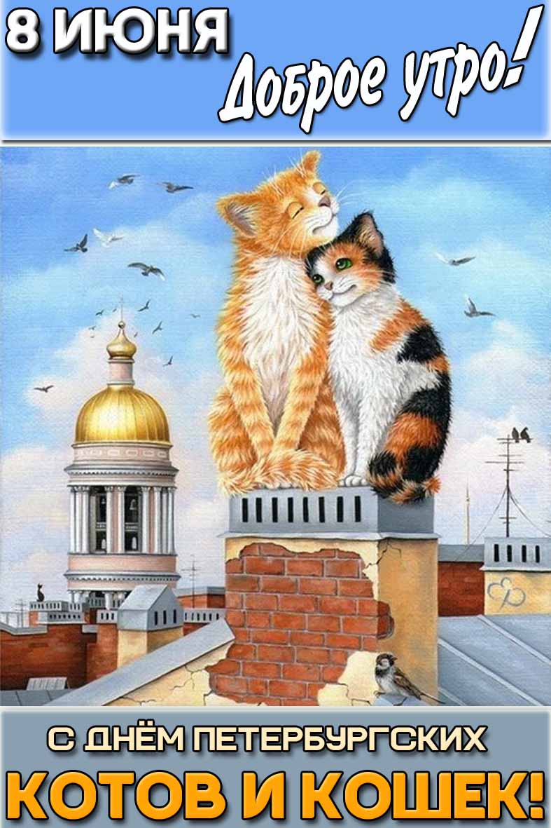 Открытка "8 июня доброе утро! С днём петербургских котов и кошек!"