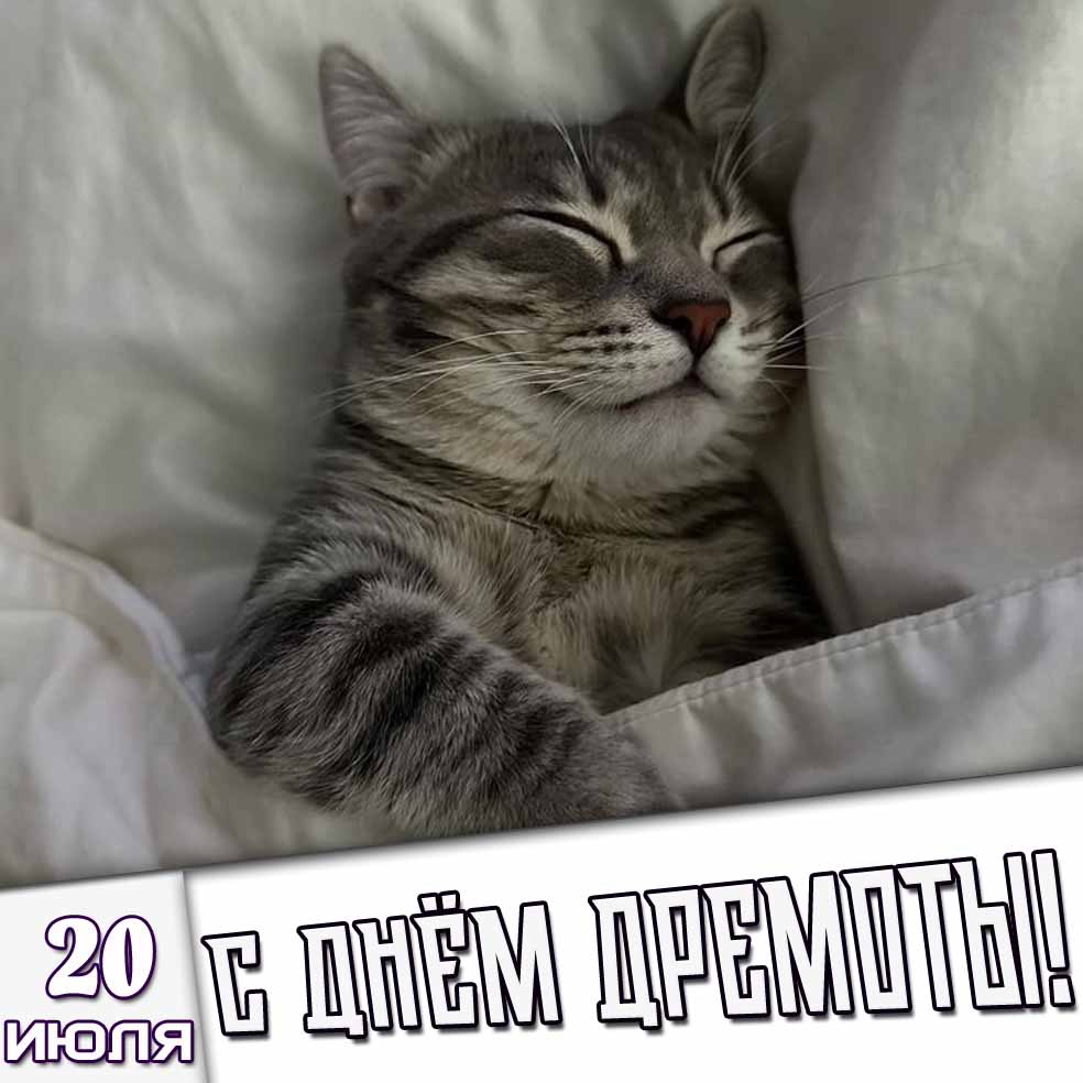 Картинка 20 июля - с днём дремоты!