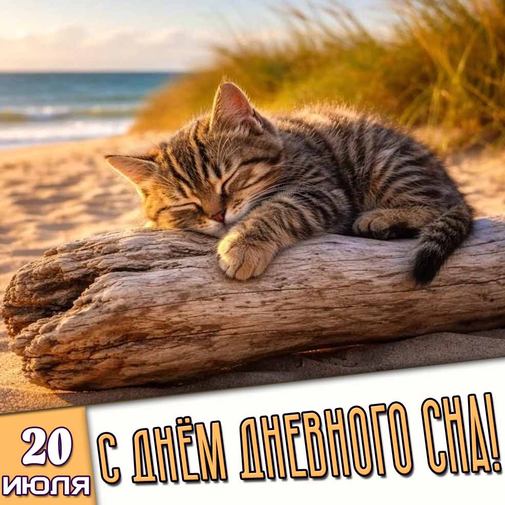 Открытка 20 июля - с днём дневного сна!