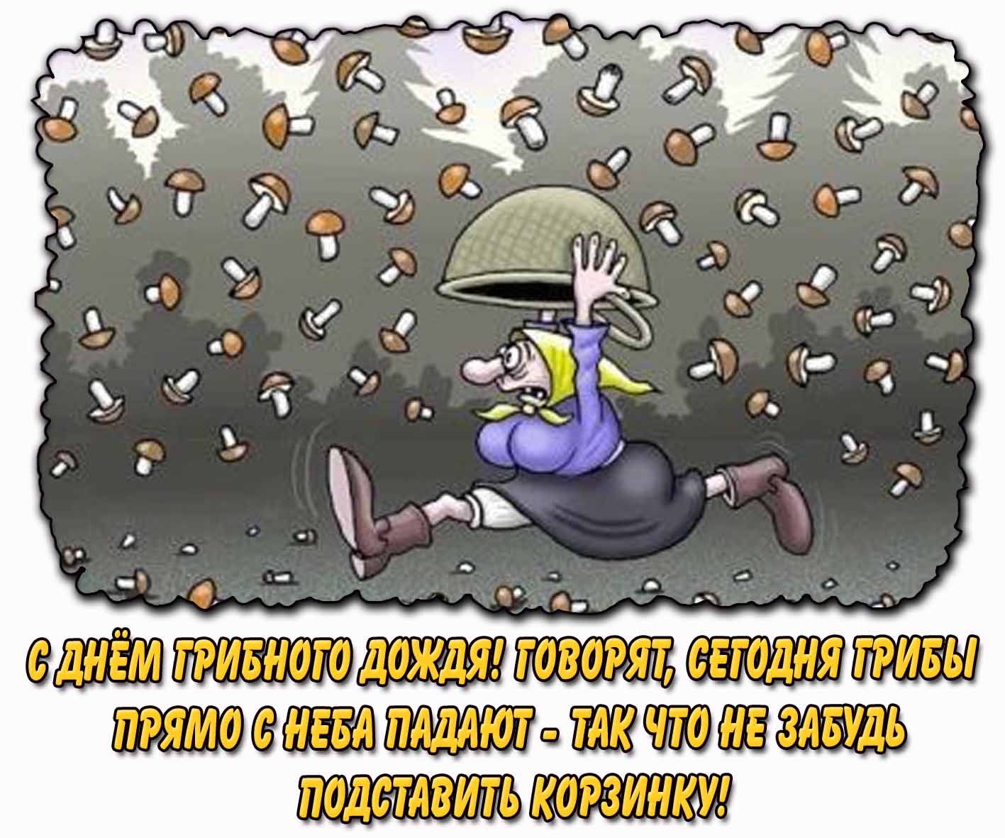 Смешная открытка "С днём грибного дождя! Говорят, сегодня грибы прямо с неба падают - так что не забудь подставить корзинку!"