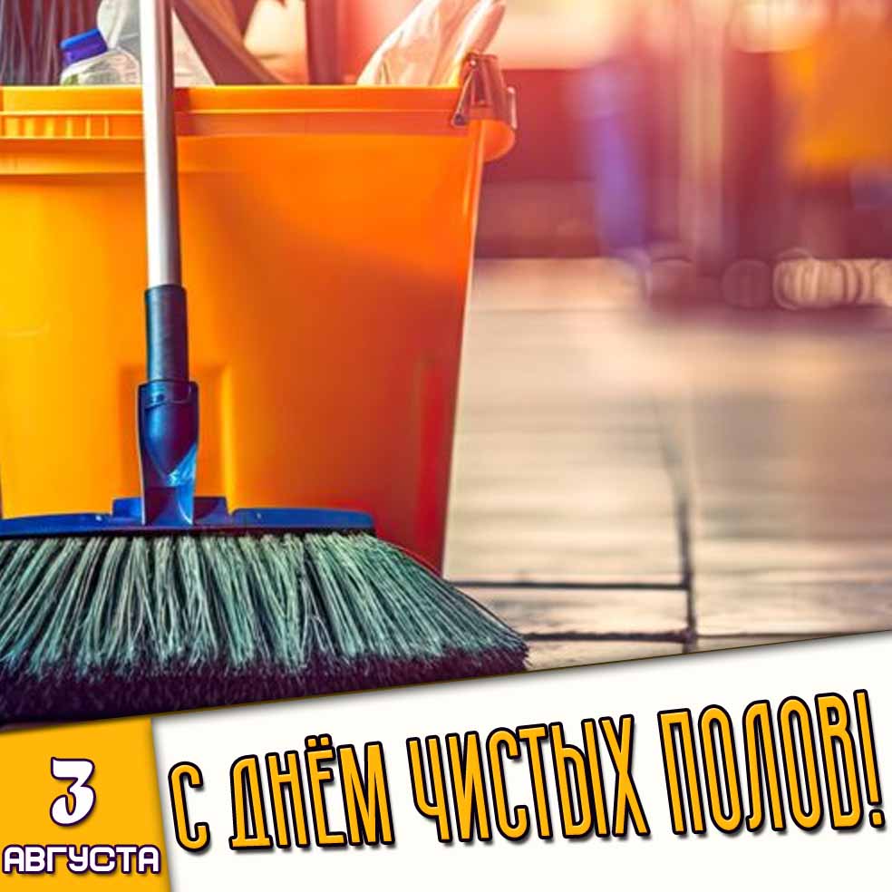 Картинка 3 августа - с днём чистых полов!