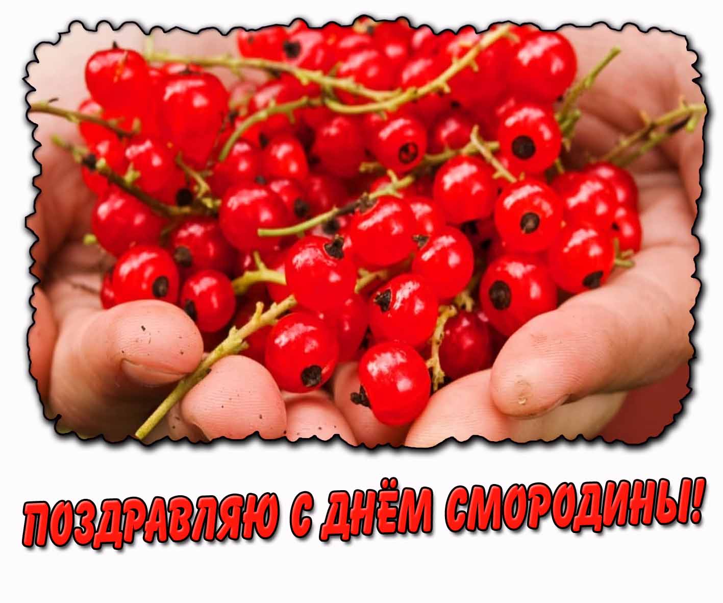 Картинка "Поздравляю с днём смородины!"