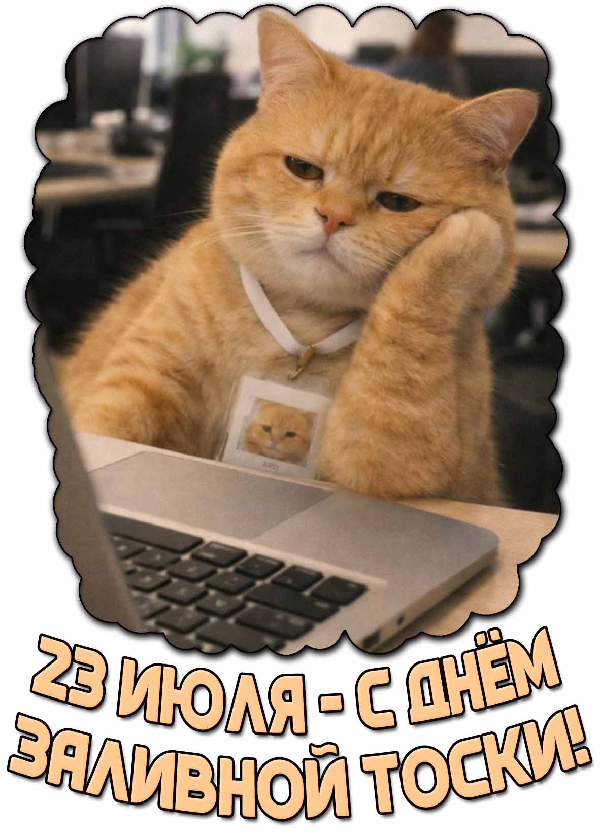 С днём заливной тоски! - картинка с котом