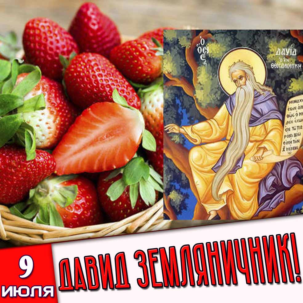 Картинка 9 июля - Давид Земляничник!