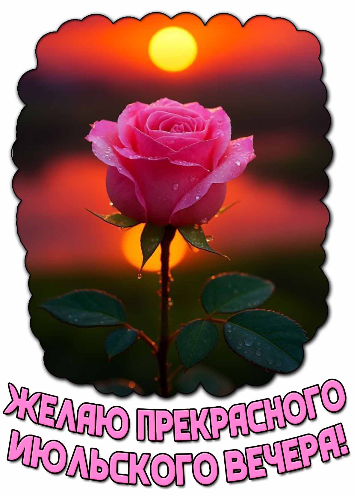 Желаю прекрасного июльского вечера! - открытка с розой