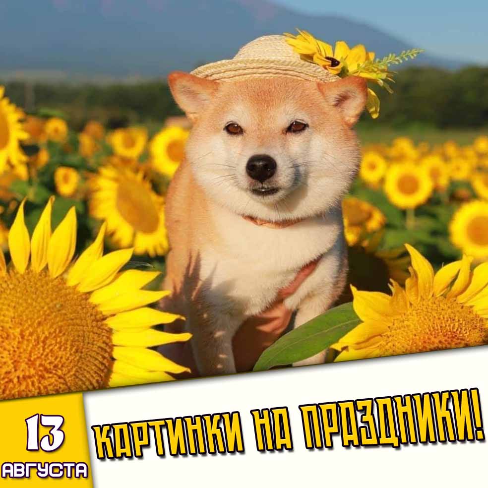 Картинки на праздники 13 августа