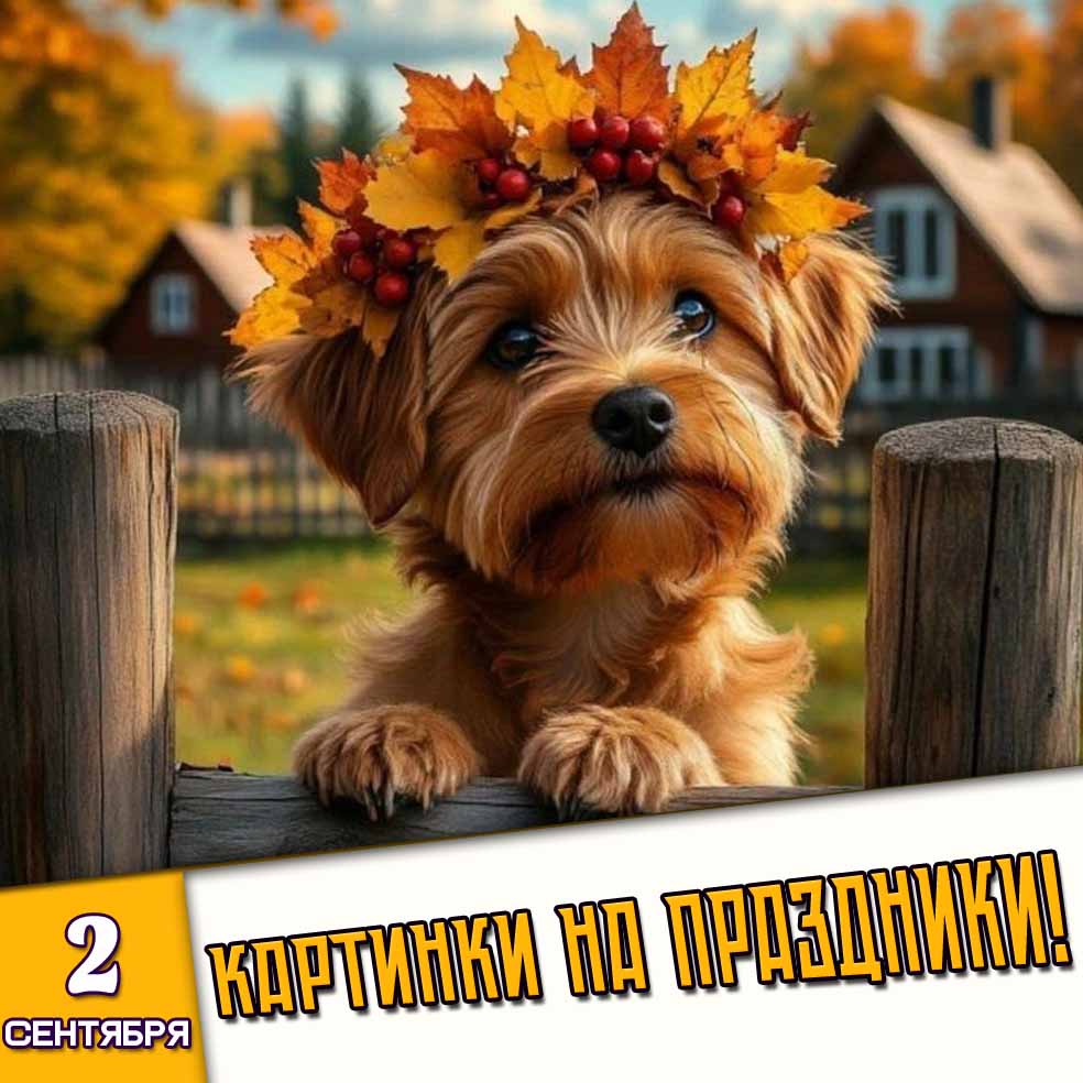 Картинки на праздники 2 сентября