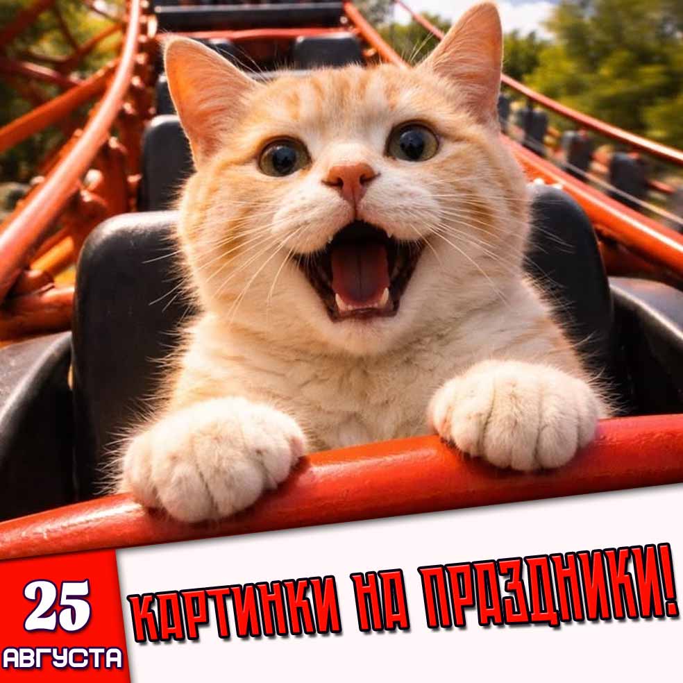 Картинки на праздники 25 августа