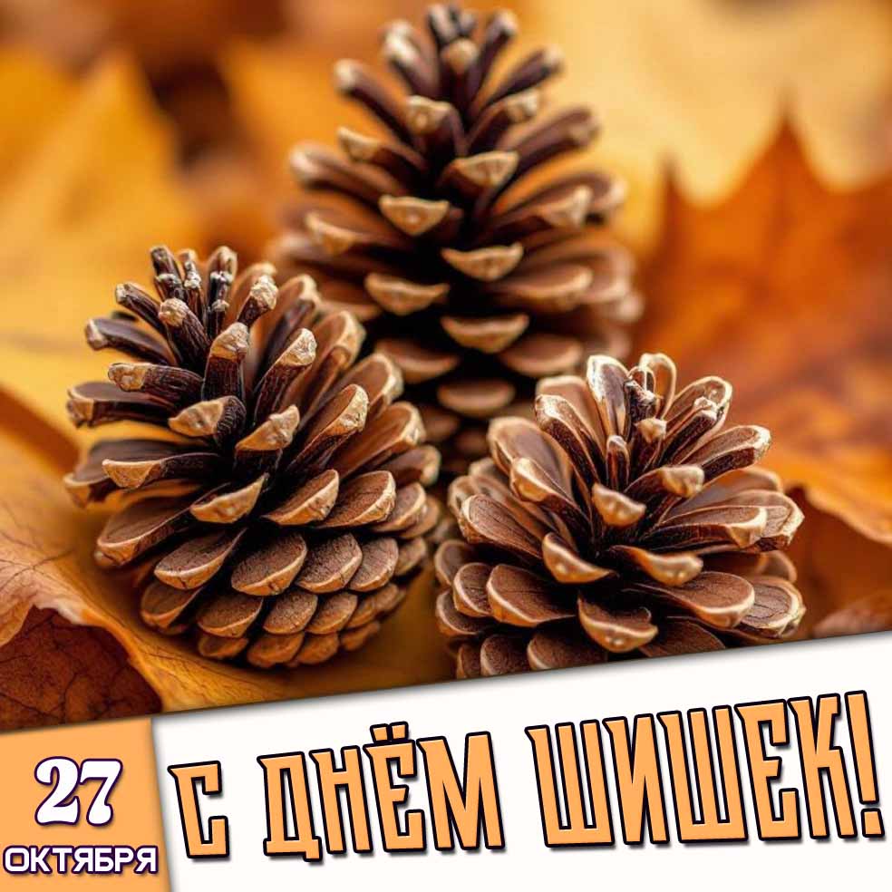 Картинка 27 октября - с днём шишек!