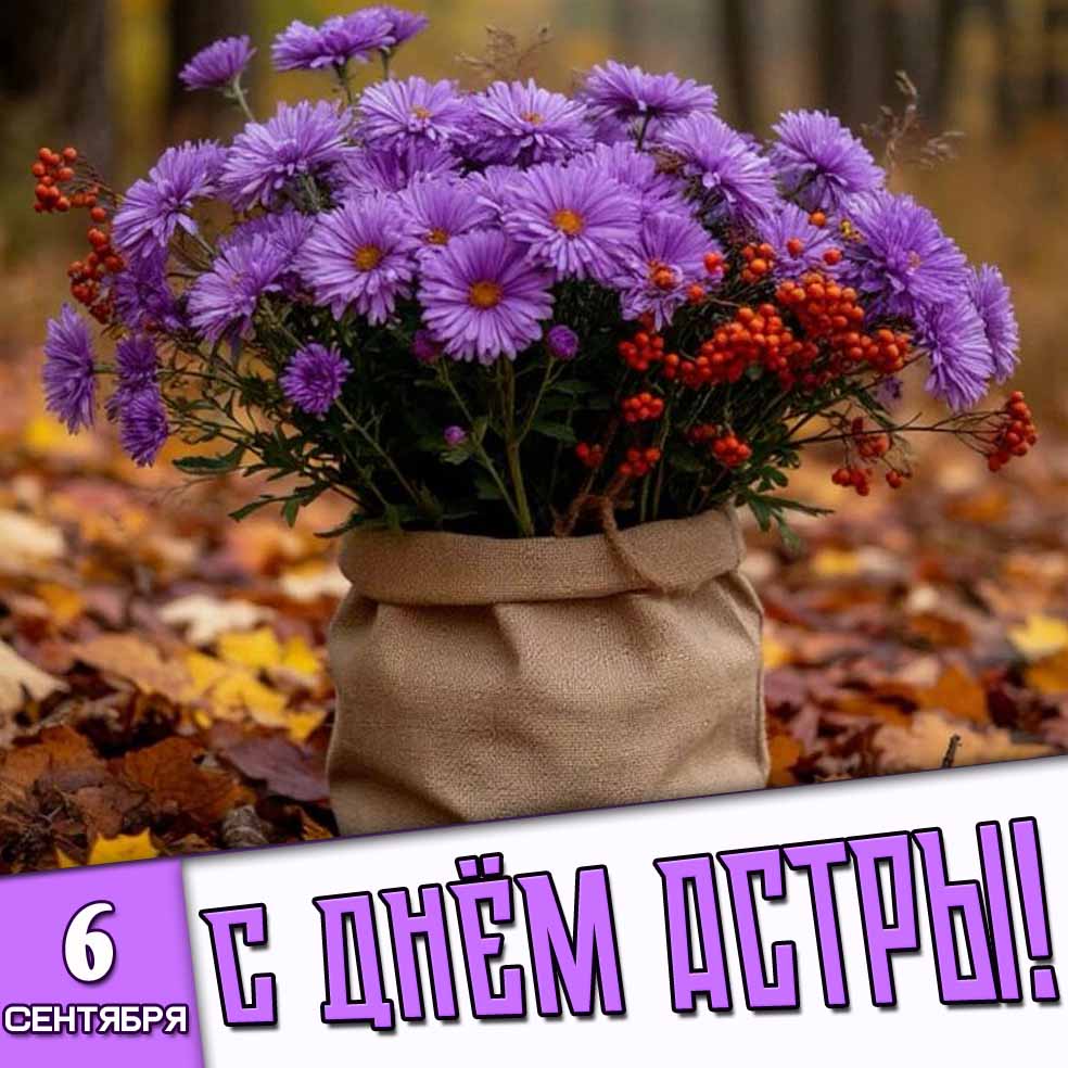 Картинка 6 сентября - с днём астры!