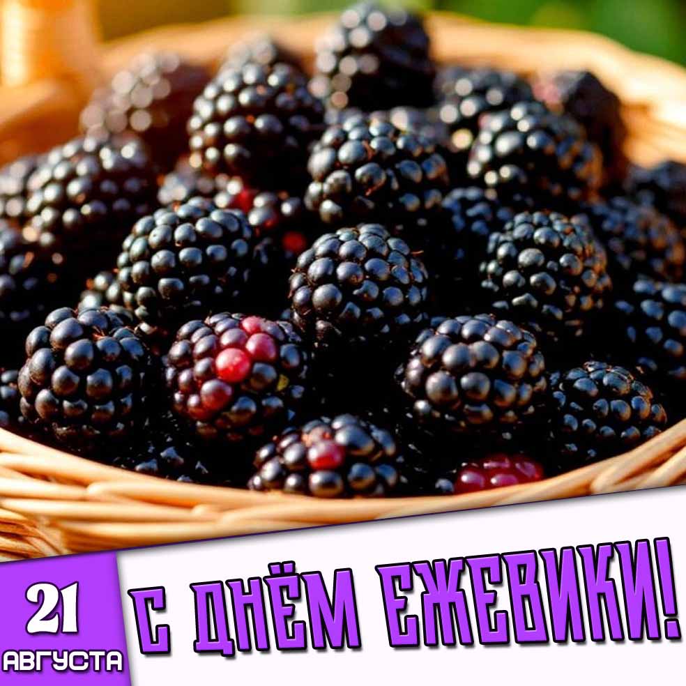 Открытка 21 августа - с днём ежевики!