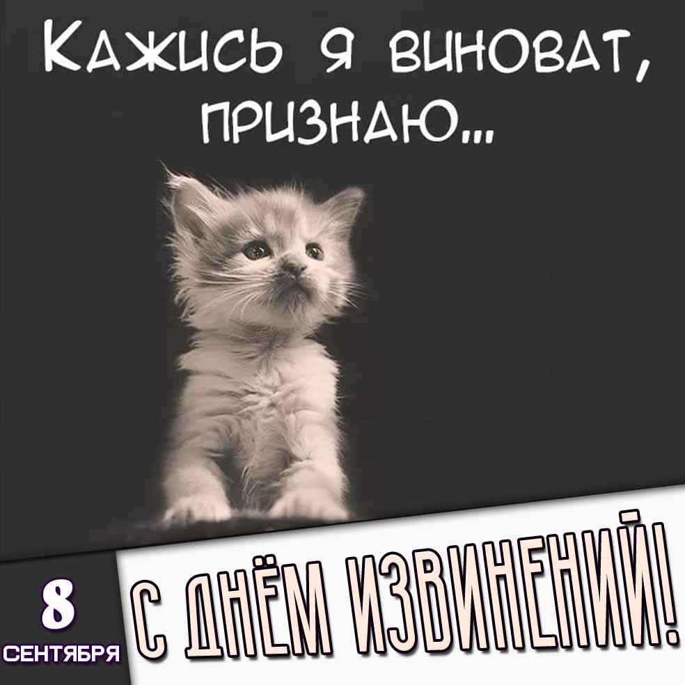 Прикольная картинка 8 сентября - с днём извинений! Кажись я виноват, признаю...