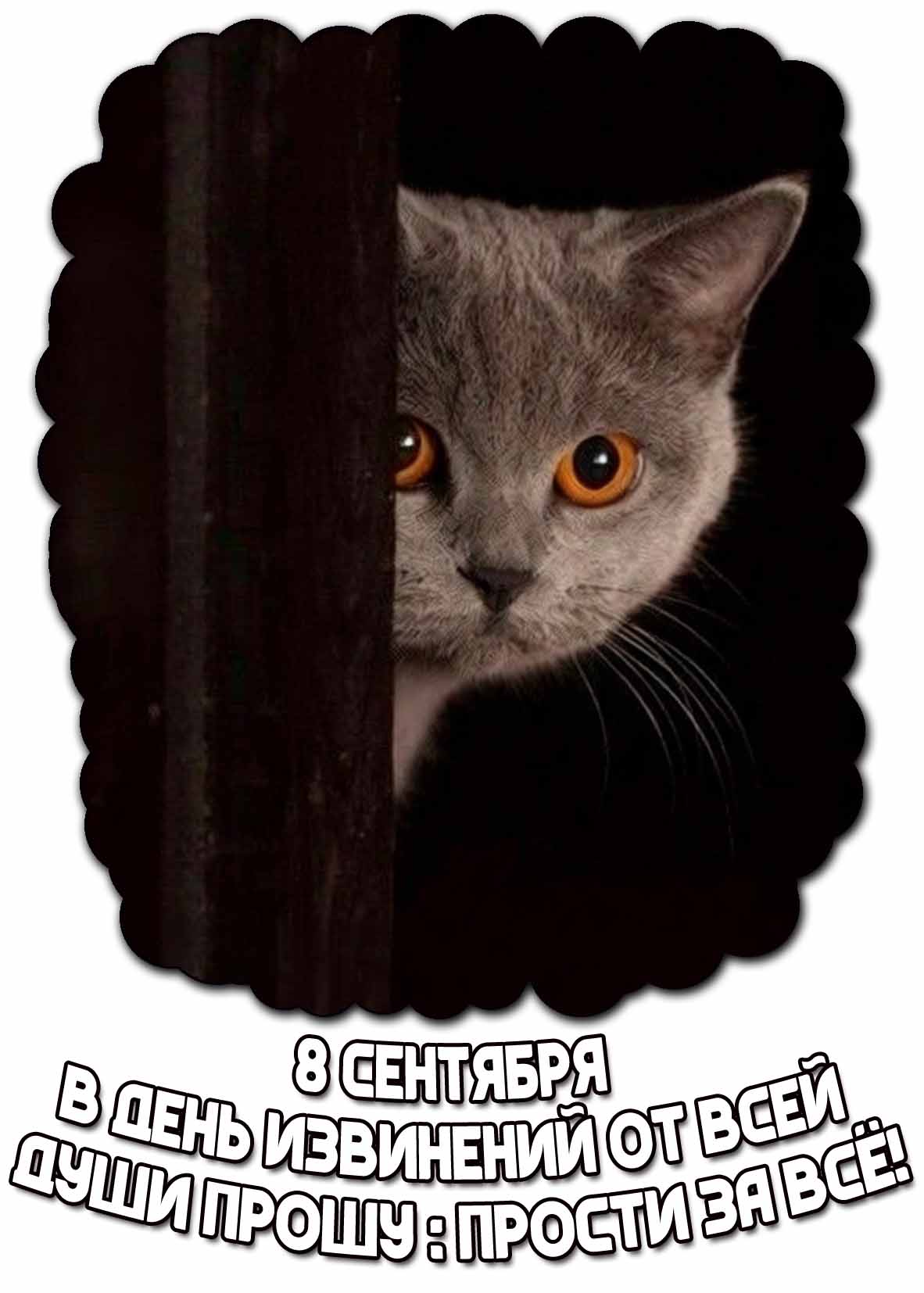 Открытка 8 сентября - В день извинений от всей души прошу : Прости за всё!