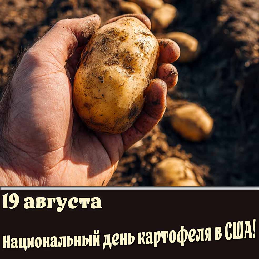 Открытка 19 августа - Национальный картофеля в США!