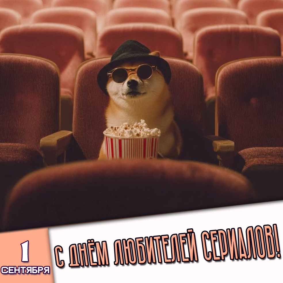 Прикольная картинка 1 сентября - с днём любителей сериалов!