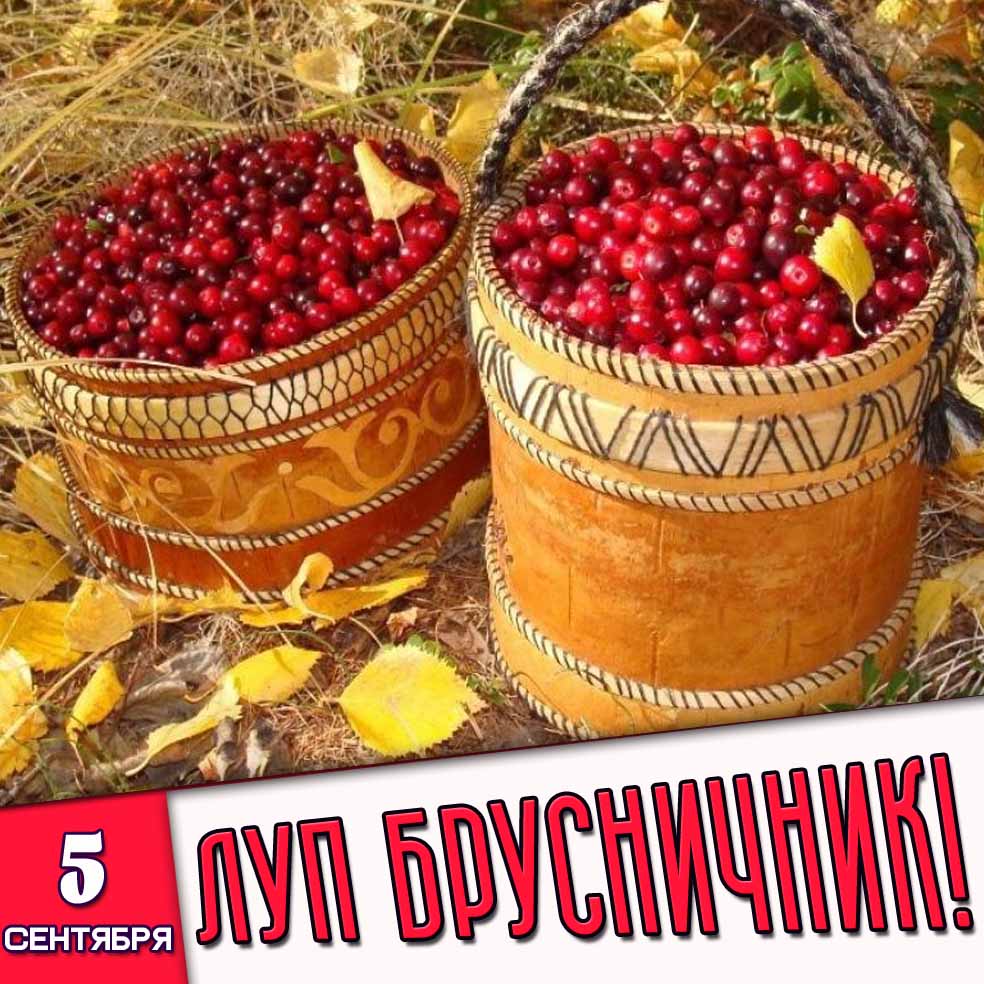 Открытка 5 сентября - Луп Брусничник!