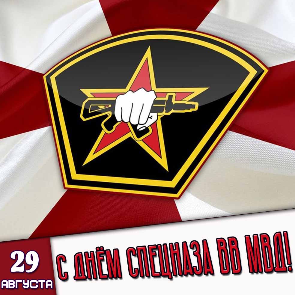 Открытка 29 августа - с днём спецназа ВВ ВМД!