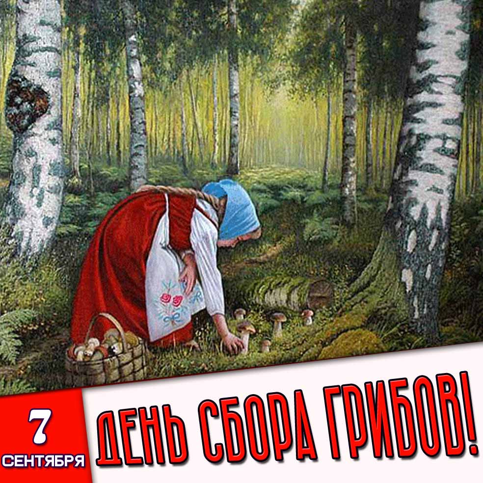 Картинка 7 сентября - день сбора грибов!