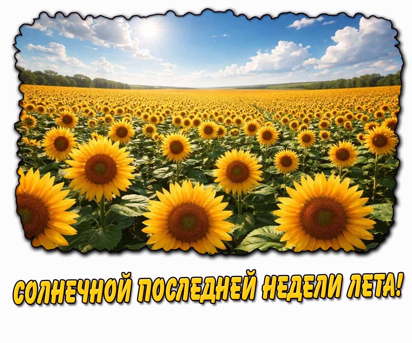 Картинка солнечной последней недели лета