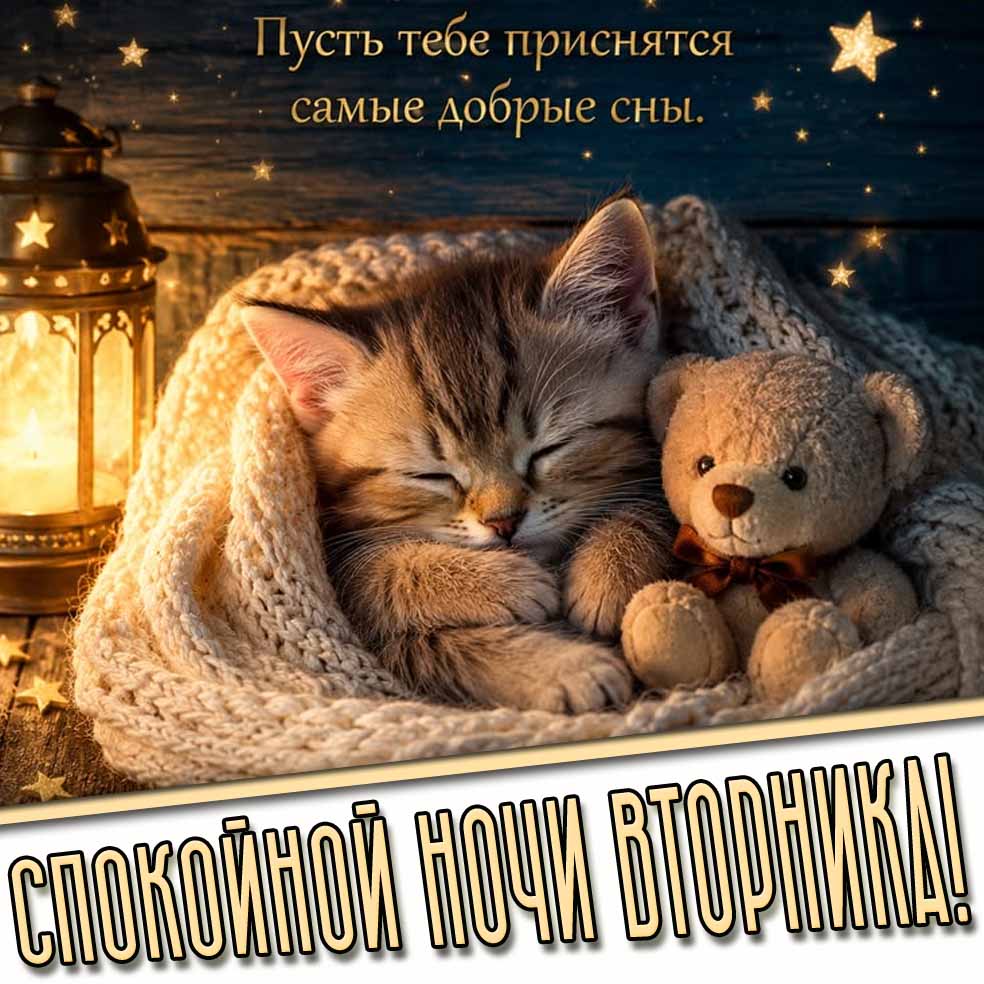 Красивая картинка со свечой, котёнком с мягкой игрушкой под пледом и надписью : Спокойной ночи вторника! Пусть тебе приснятся самые добрые сны!