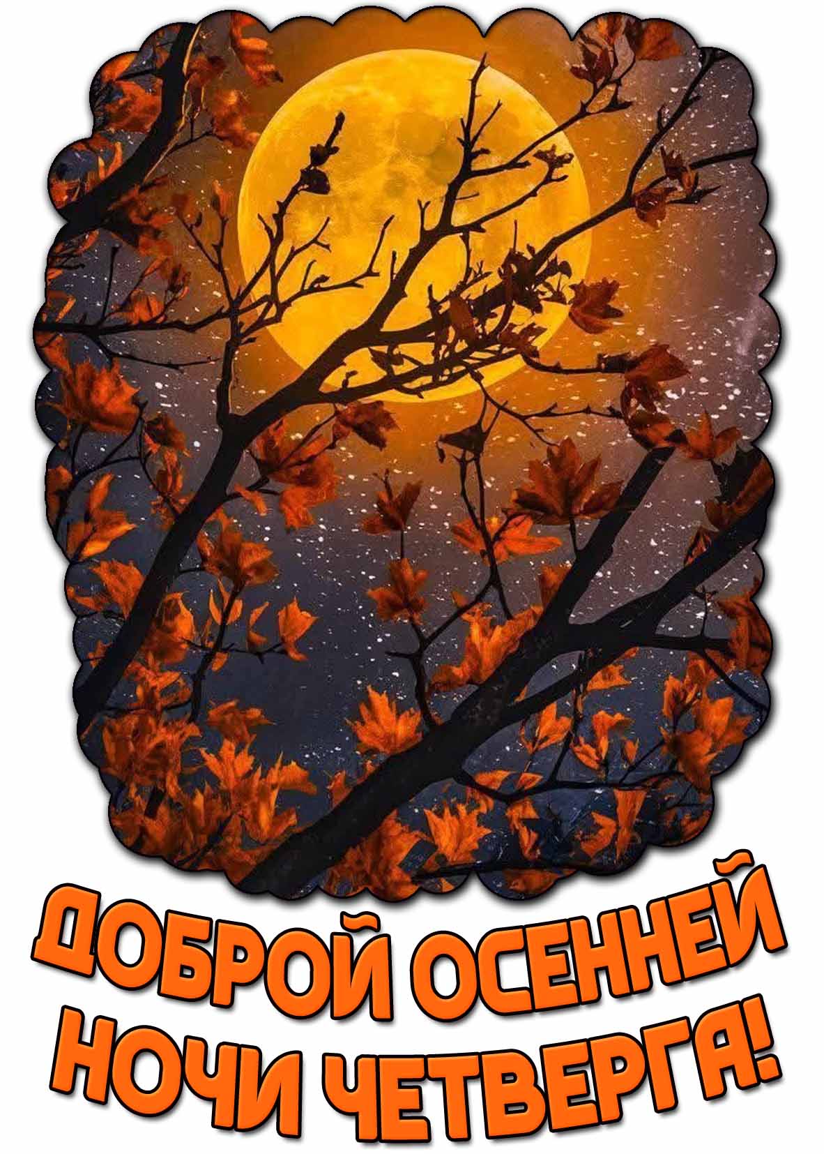 Красивая открытка доброй осенней ночи четверга
