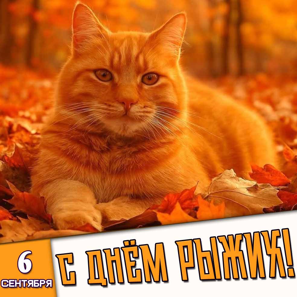 Картинка 6 сентября - с днём рыжих!