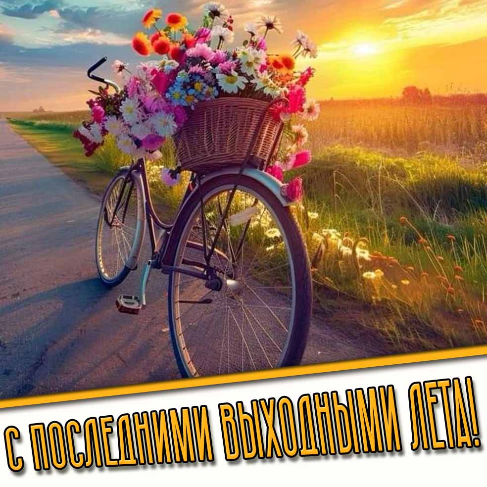 Открытка с последними выходными лета