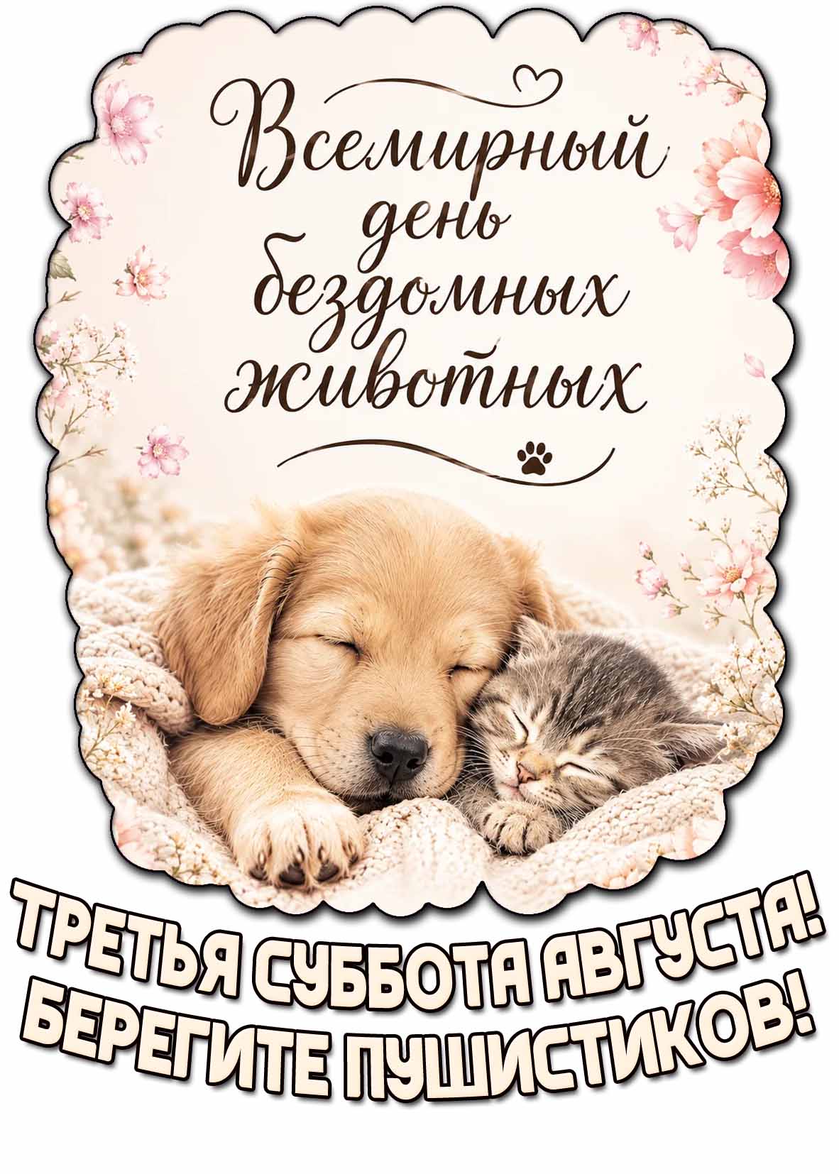 Открытка "Всемирный день бездомных животных! Третья суббота августа! Берегите пушистиков!"