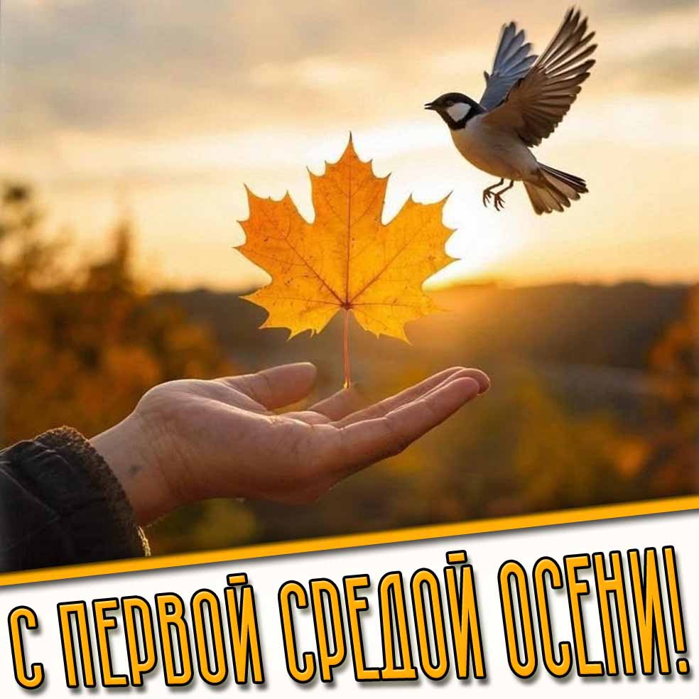 Картинка с первой средой осени