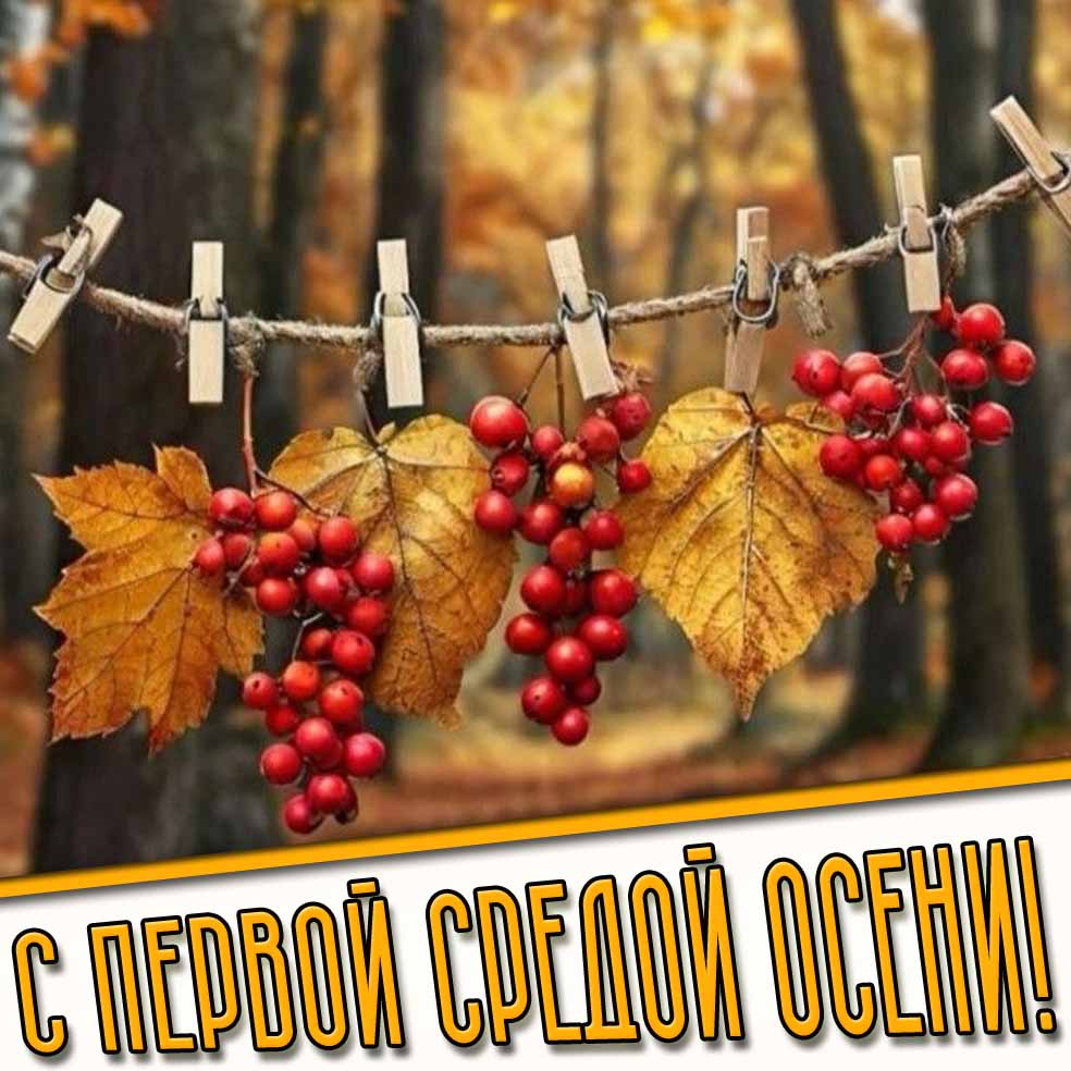С первой средой осени! - креативная открытка