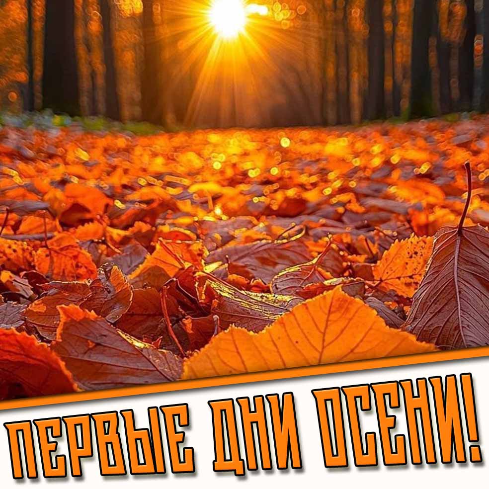 Картинки на первые дни осени и сентября